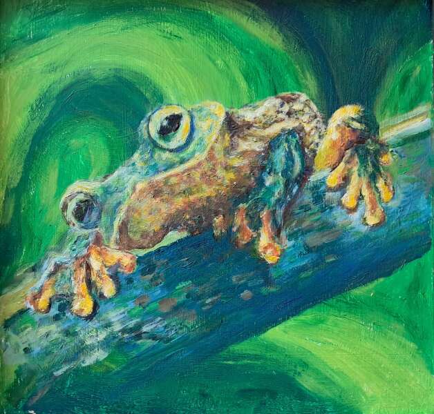 Eyes Wide Open