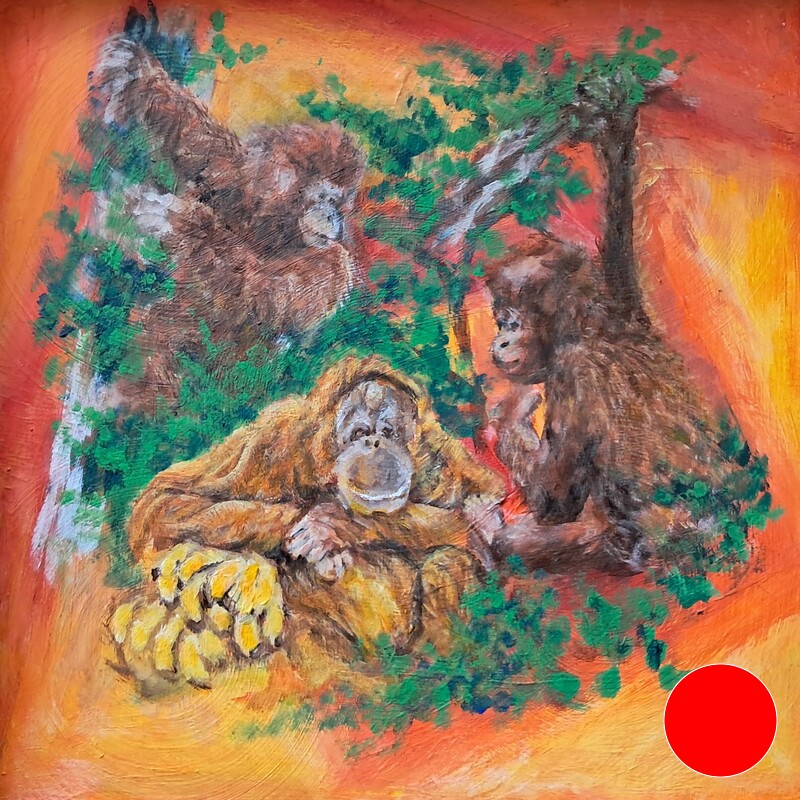 Chimp Social