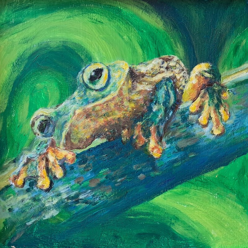 Eyes Wide Open