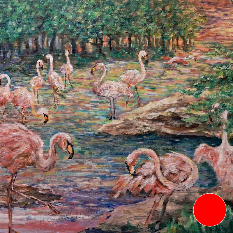 Flamingo Cove